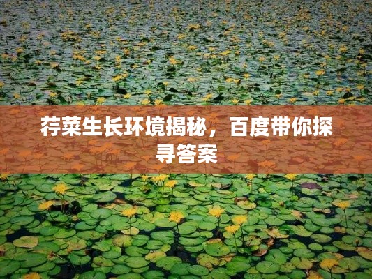 荇菜生长环境揭秘，百度带你探寻答案